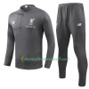Liverpool Sweatshirts Anzüge Grau 2018-2019